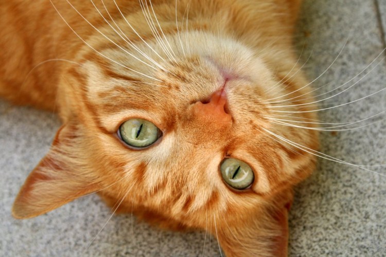 Доброе утро последнее летнее воскресенье