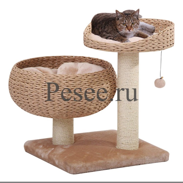 Лежанка когтеточка Катс
