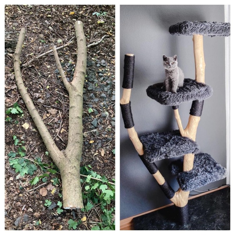 Когтеточка дерево для кошек