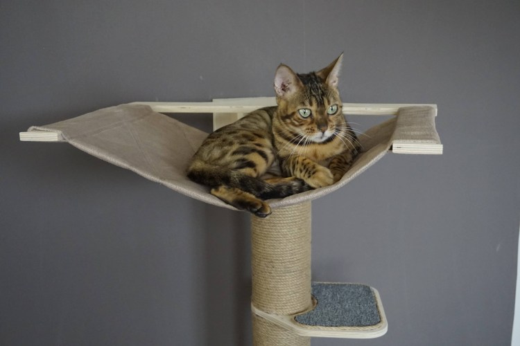 Игровой комплекс tm07 для кошек, 550*550*1200мм