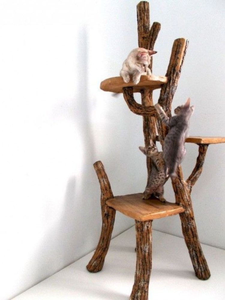 Коряга для кошки