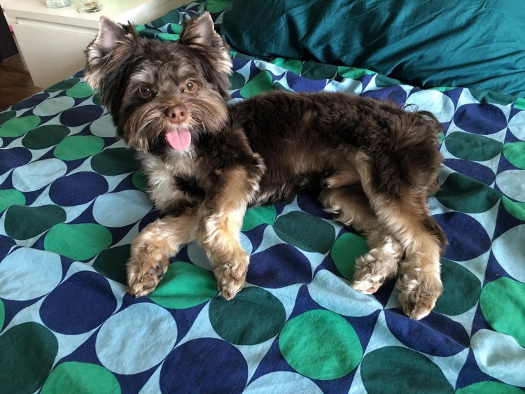 Если папа Йорк повязался с дочкой