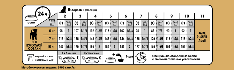 Джек-Рассел-терьер родословная собаки
