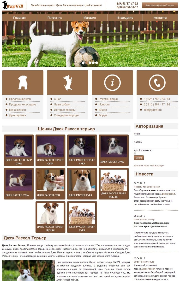 Собачий корм Джек Рассел