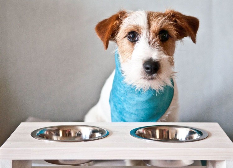 Альграфс Арчи Роял