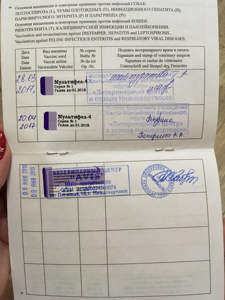 Эурикан DHPPI+LR вакцина семивалентная для собак 1 доза (Eurican dhppi2lr)