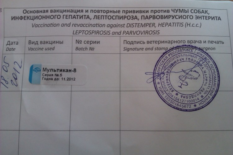 Нобивак Puppy dp вакцина для щенков