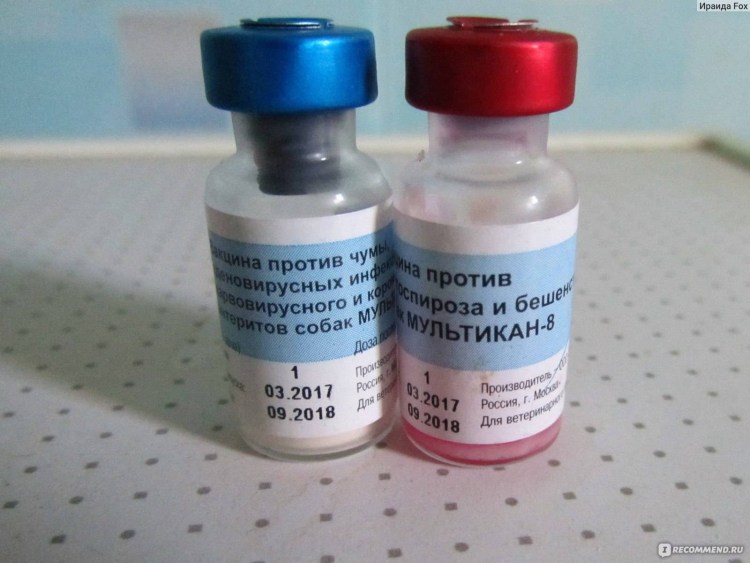 Мультикан-4 вакцина для собак