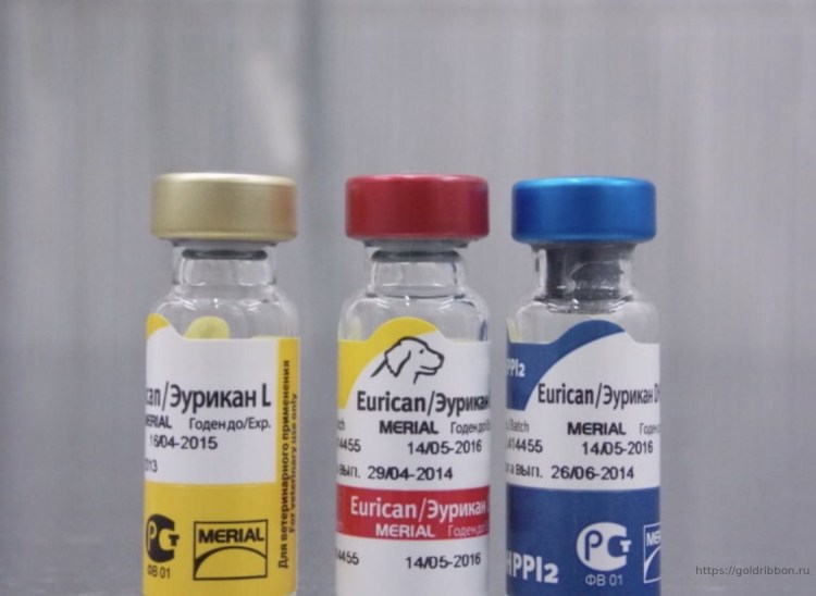 Нобивак DHPPI 10х1д