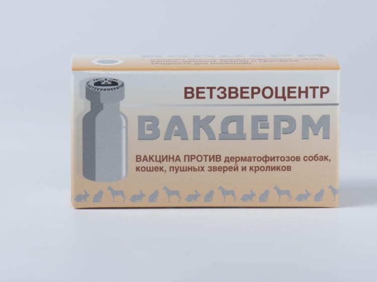 Прококс суспензия