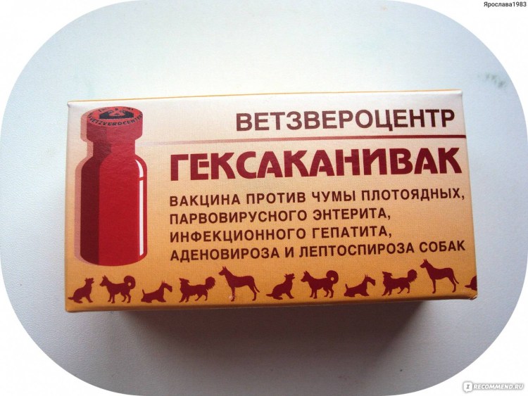 Вакцина эпи ВАК коронавирус