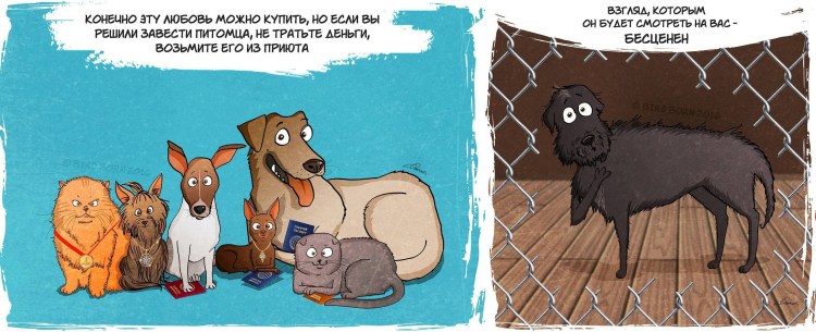 Забери собаку из приюта