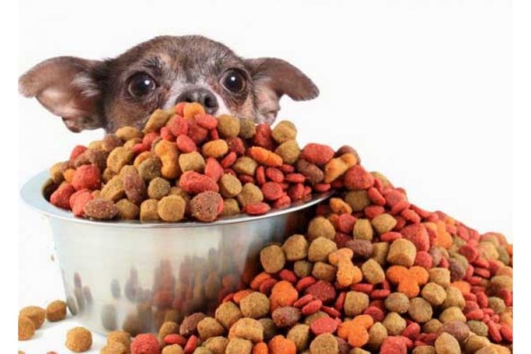 Acari Ciar корм для собак