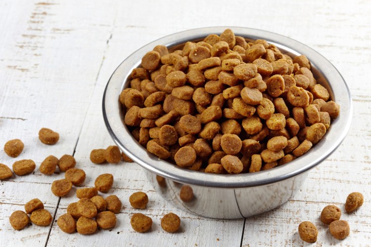 Корм для собак PROХВОСТ (13 кг) сухой корм мясное ассорти