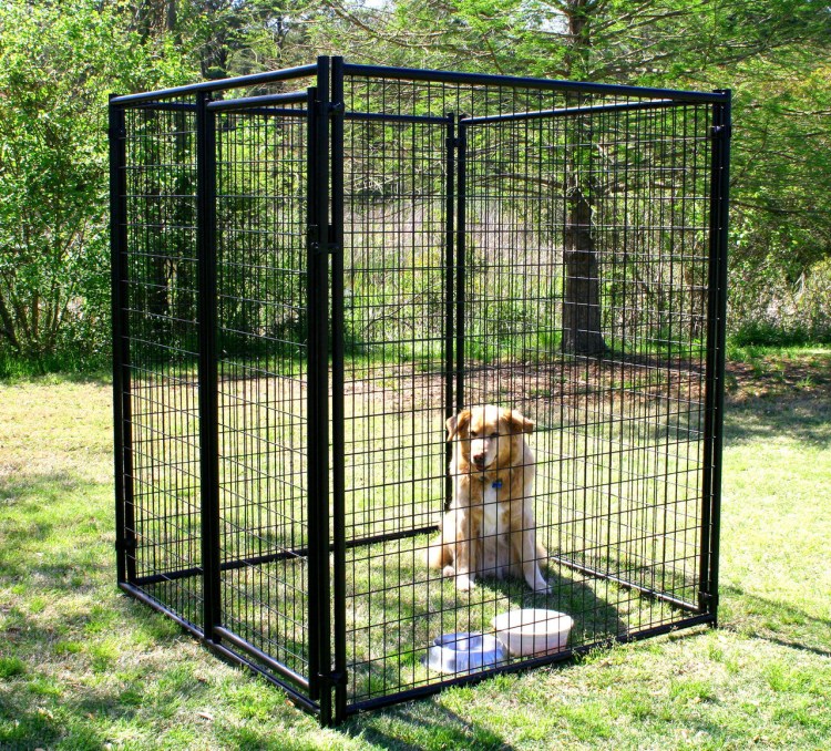 Вольер будка усадьба