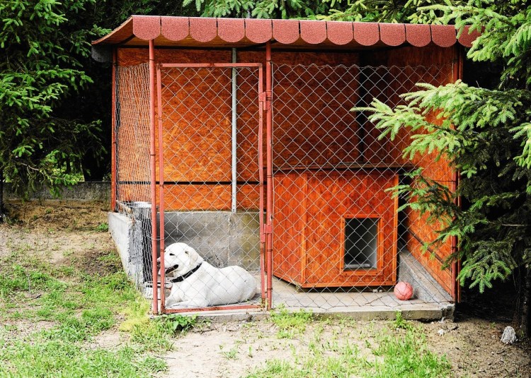 Вольер для собаки алабай