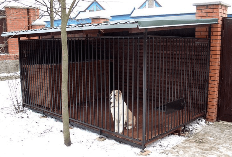 Вольер для среднеазиатской овчарки