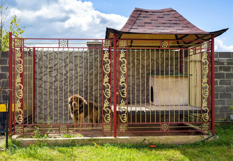 Вольеры для собак