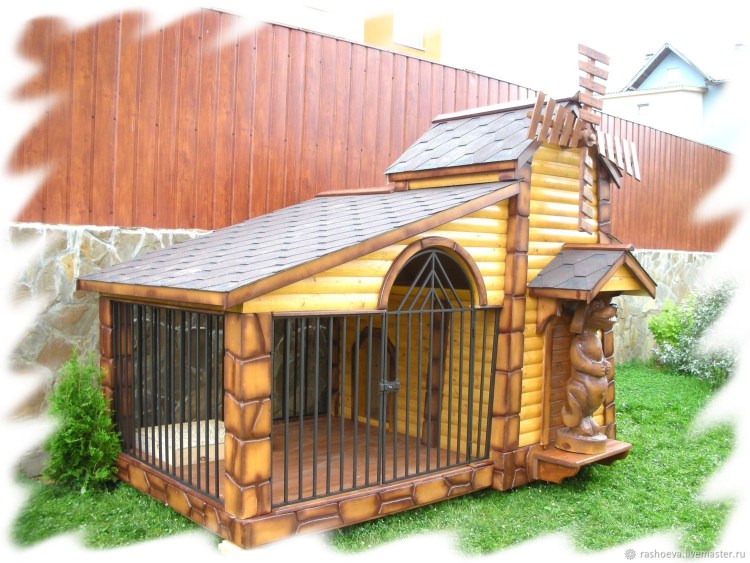 Необычные вольеры для собак