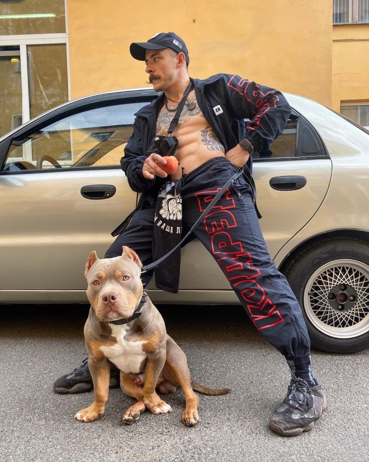 Собака Виктора блуда