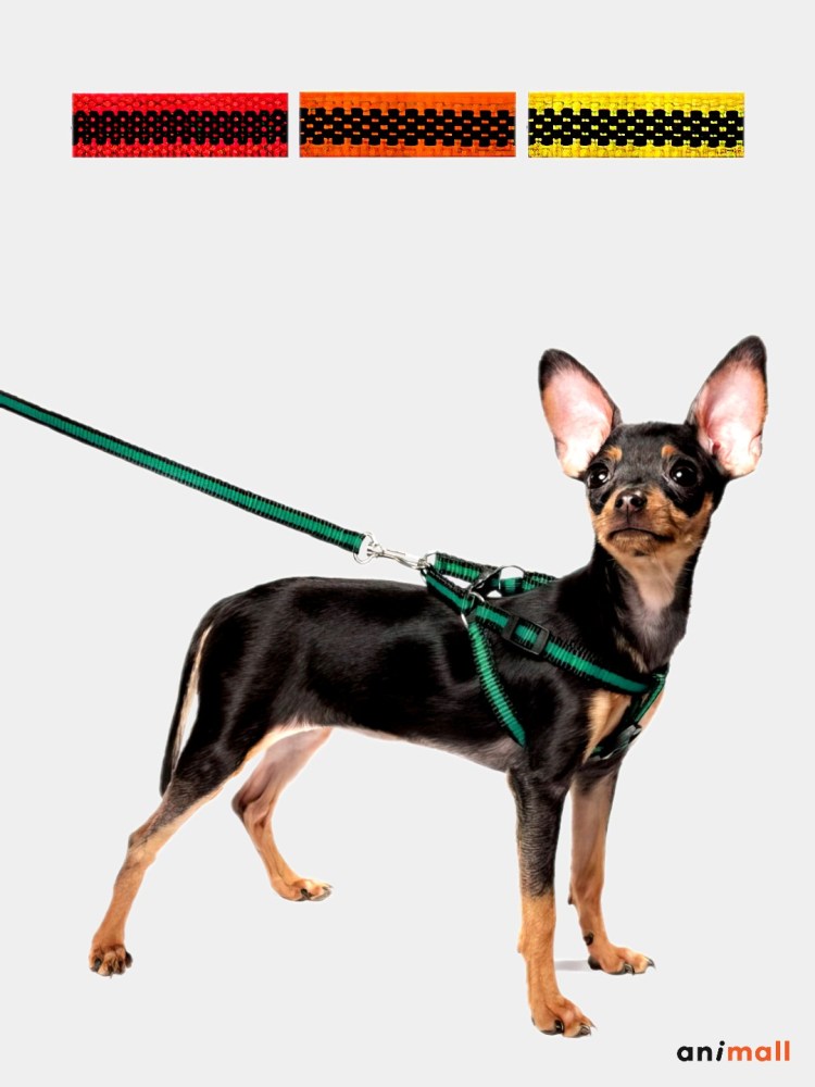 Комплект шлейка и поводок для щенка "Мегаполис", 280-340*85мм; 10*1300мм