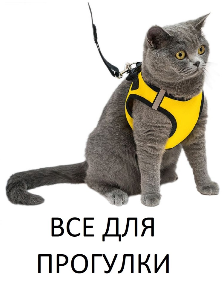 Шлейка с поводком Дарэлл конфетти-топ №2