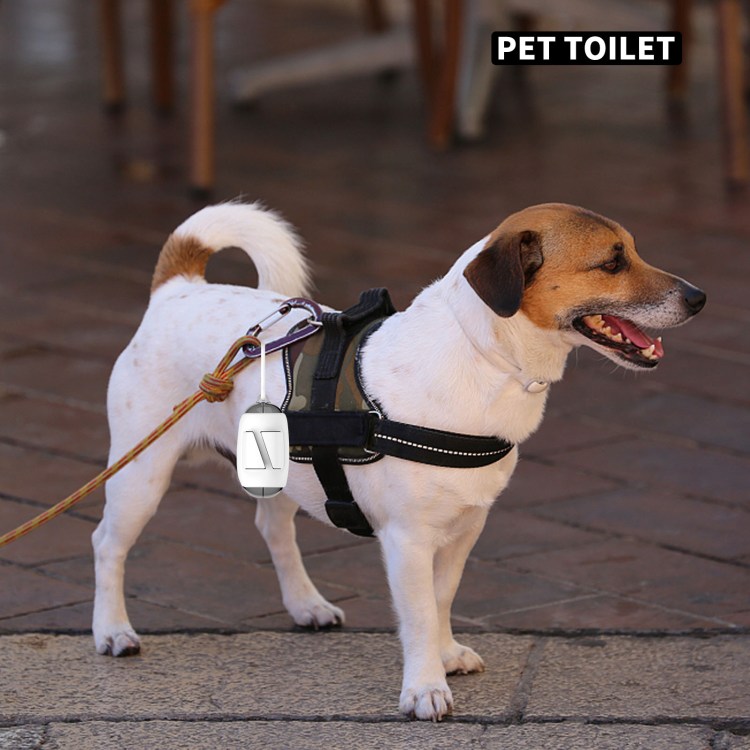 Игрушка собачка с поводком 1453