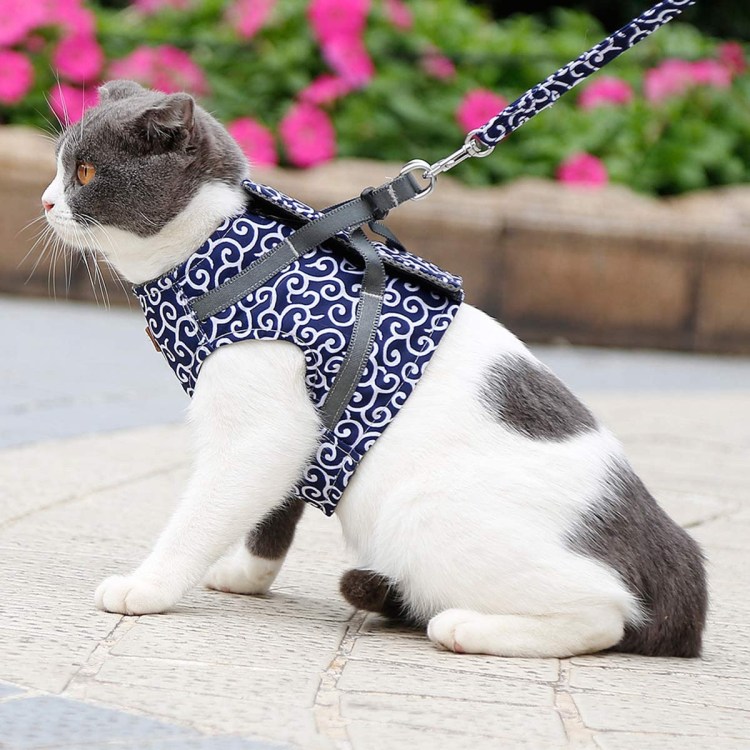 Поводок для кошек