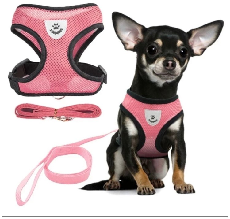 Корректирующая шлейка для собак COA "Halti Front Control", красно-чёрная, l, 80-120см