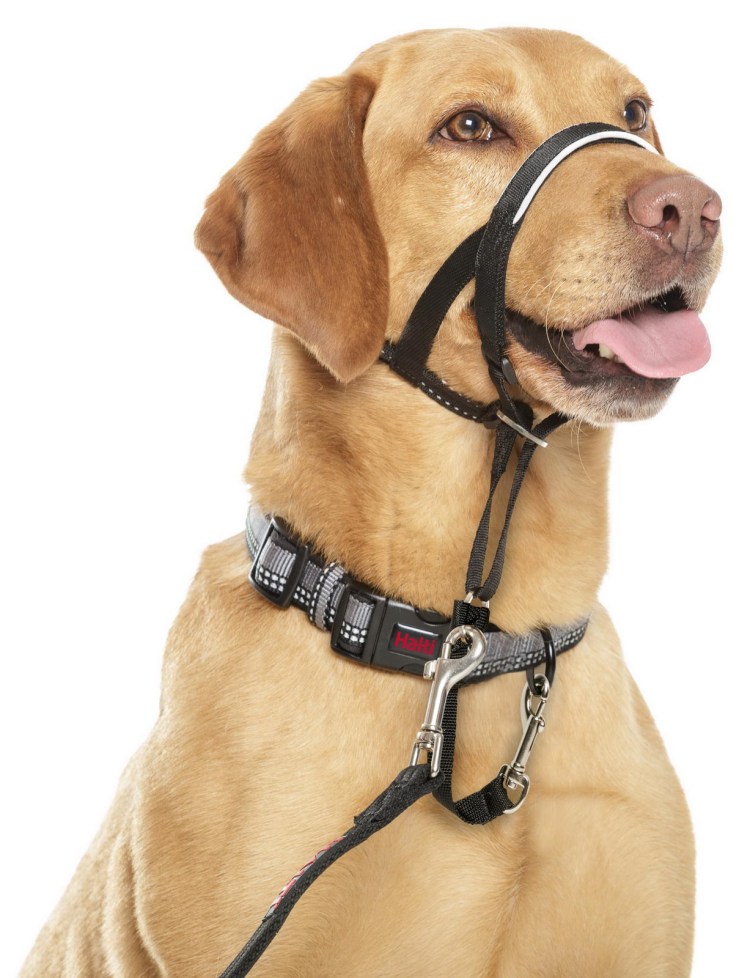 Halti недоуздок