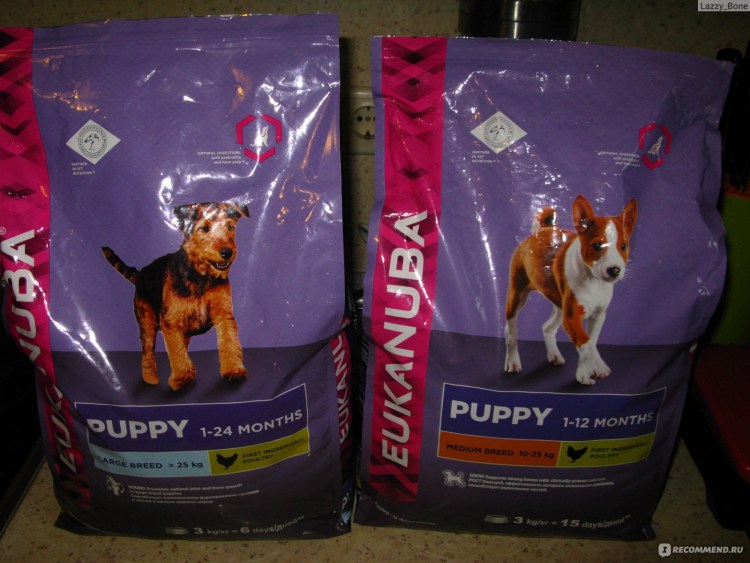 Eukanuba Breed specific для йорков