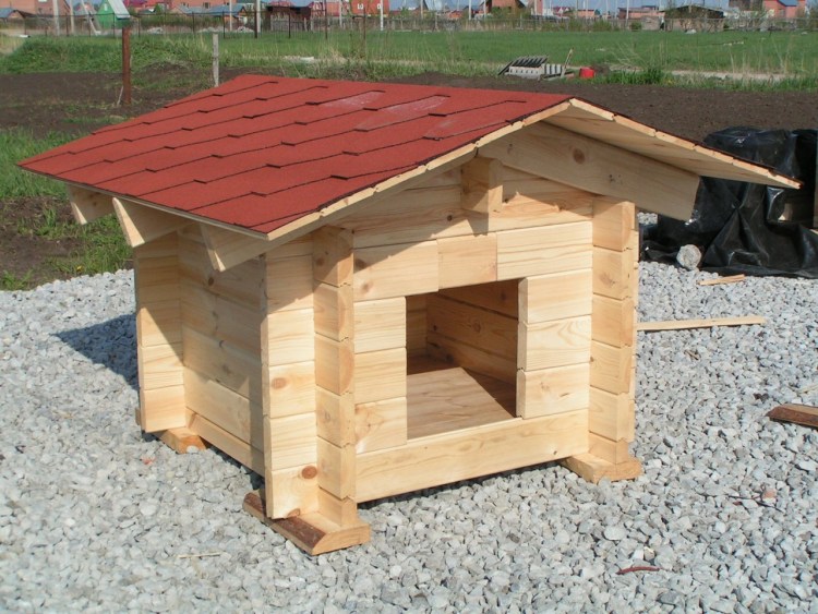 Собачья будка
