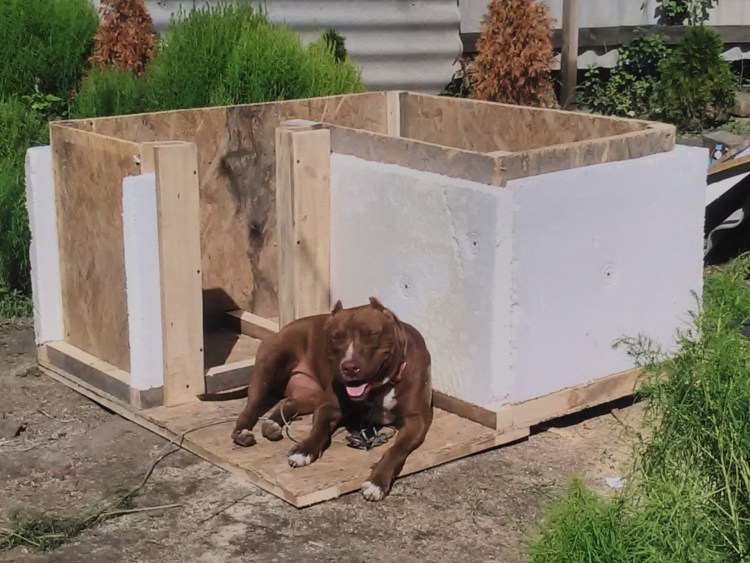 Домик для щенка