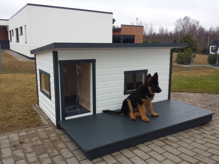 Конура для собаки односкатная