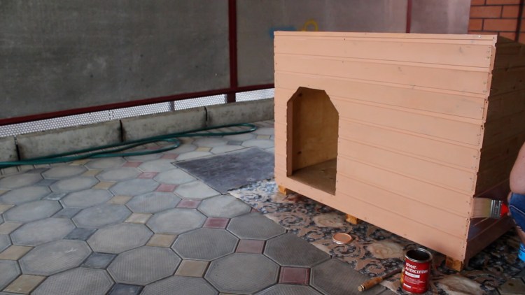 Будка для питбуля