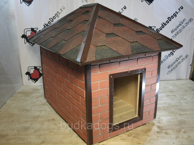 Собачья будка