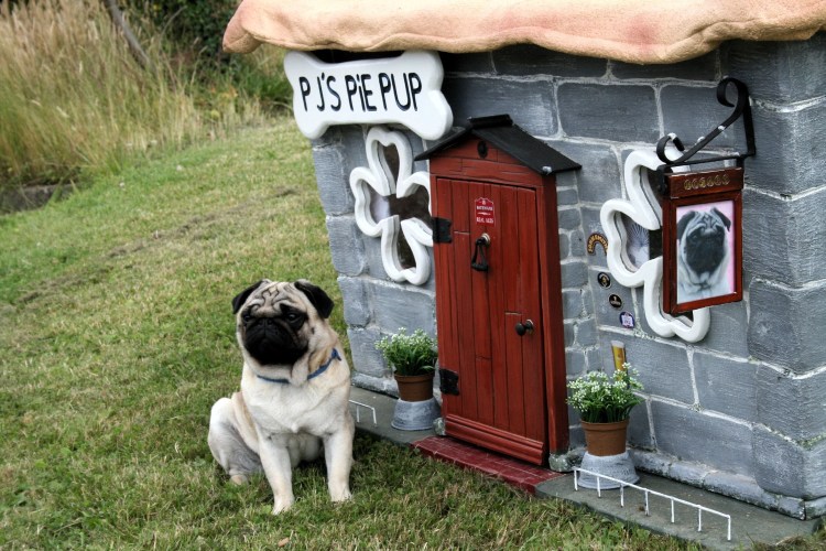 Будка для собаки утепленная