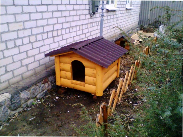 Конура для 3 собак