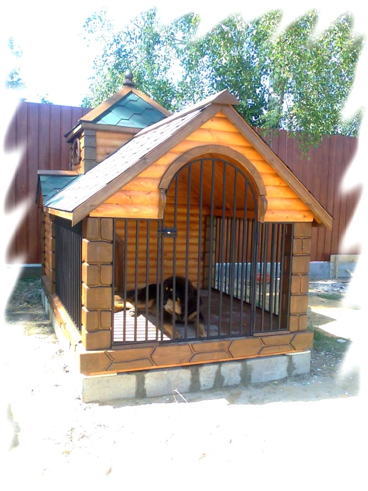 Автомобиль около собачьей будки