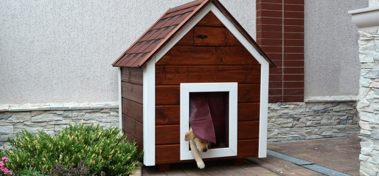 Будка для озвучки