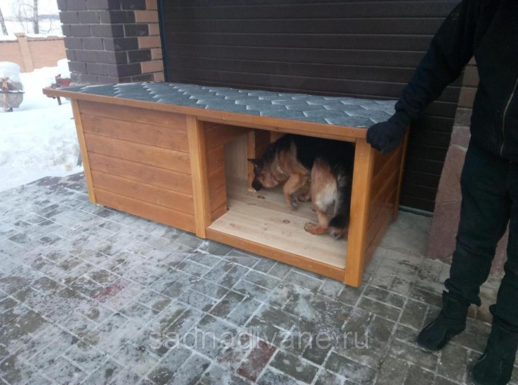 Собачья конура будка