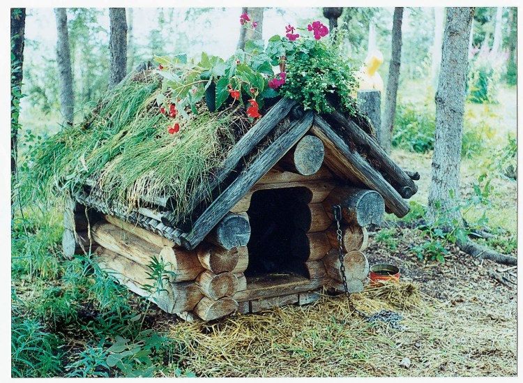 Морозоустойчивая будка для котов