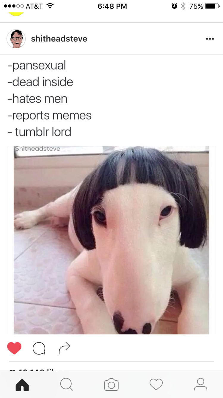 Французская овчарка Бриа