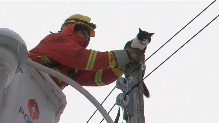 На проводах