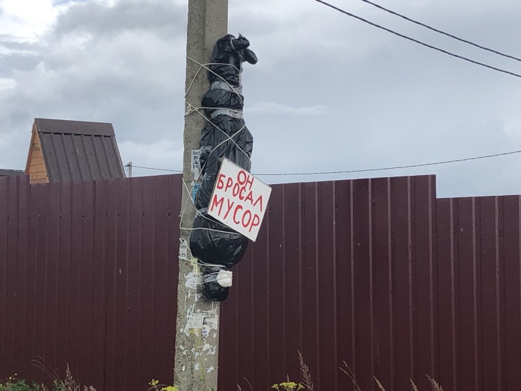 Кот на столбе рисунок