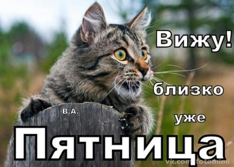 Когтеточка Trixie parla 60 см