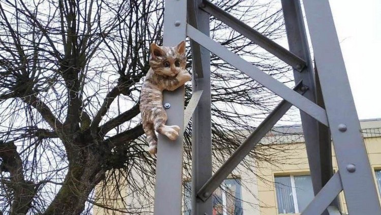 Кот радуется