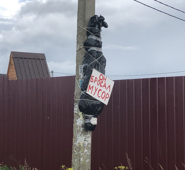 Птицу ударило током на проводах