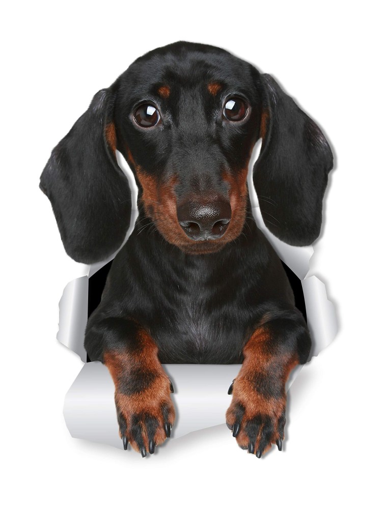 Такса в автосервисе