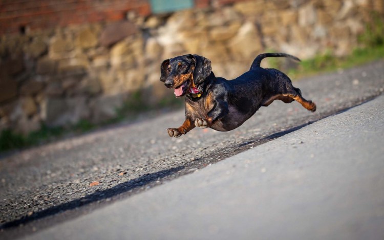 Очень очень очень очень смешные